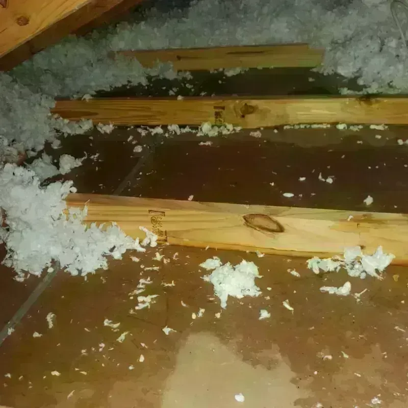 Attic Water Damage in Marion, MS