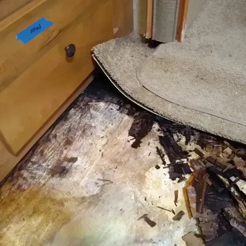 Wood Floor Water Damage in Marion, MS